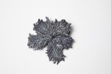 Coralline brooch by Greetings from…