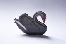 Black Swan by Helen Britton