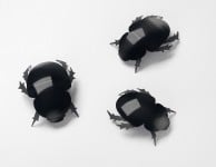 Beetle brooches by Sue Lorraine