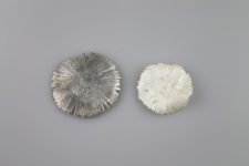 Pig Face Daisy brooches by Recent Works: Weathered and Worn