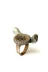 Ring 23 by Karl Fritsch & Jack Hadley: Arts & Crafts